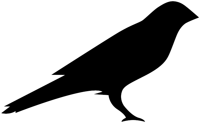 Kusama Bird Logo